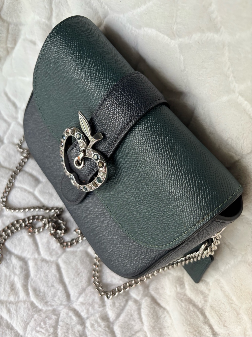 Rare - Limited Edition Coach crossbody handbag *unique* Apple Crystal and Suede! - Picture 3 of 14